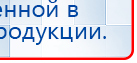 СКЭНАР-1-НТ (исполнение 02.1) Скэнар Про Плюс купить в Миассе, Аппараты Скэнар купить в Миассе, Дэнас официальный сайт denasdoctor.ru